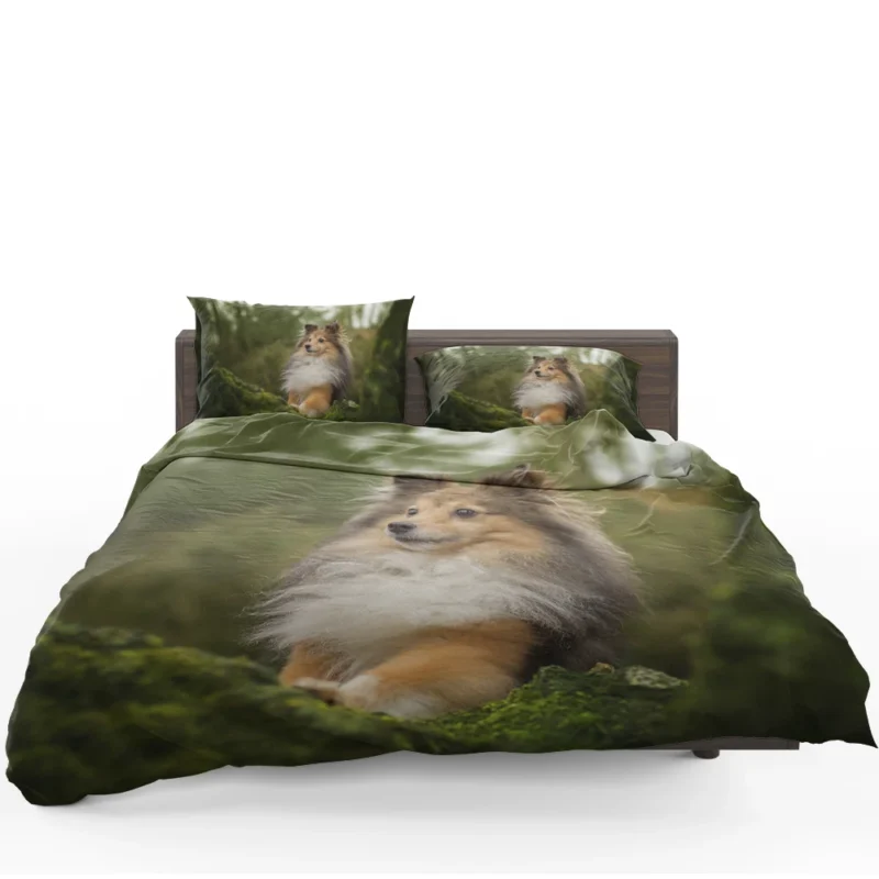 Radiant Shetland Loyal Sheepdog Ensemble: Quartet Bedding Set