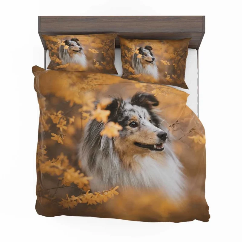 Radiant Shetland Sheepdog Ensemble: Quartet Bedding Set 1