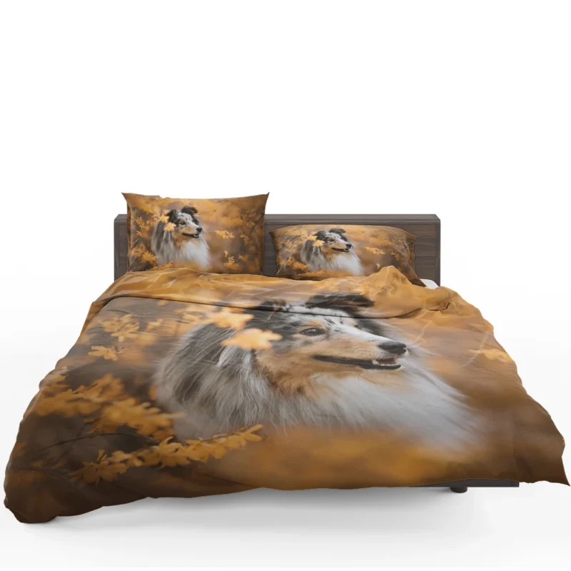 Radiant Shetland Sheepdog Ensemble: Quartet Bedding Set