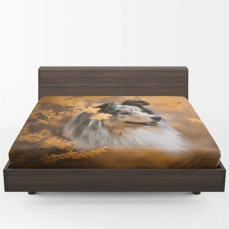 Radiant Shetland Sheepdog Ensemble: Quartet Fitted Sheet 1