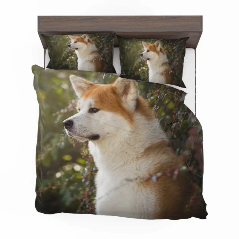 Radiant Shiba Inu Quartet Bedding Set 1