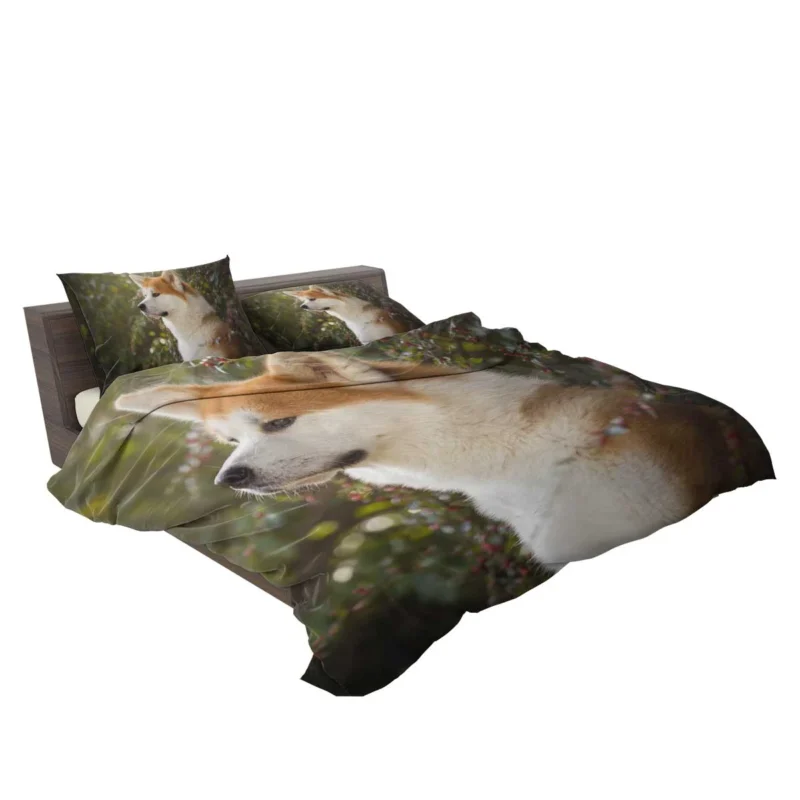 Radiant Shiba Inu Quartet Bedding Set 2