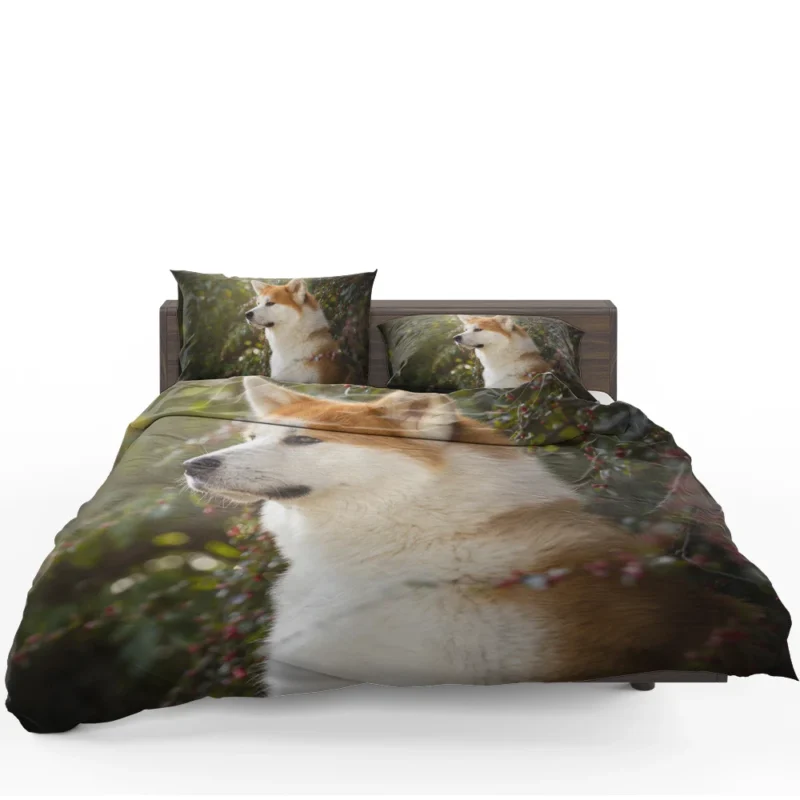 Radiant Shiba Inu Quartet Bedding Set