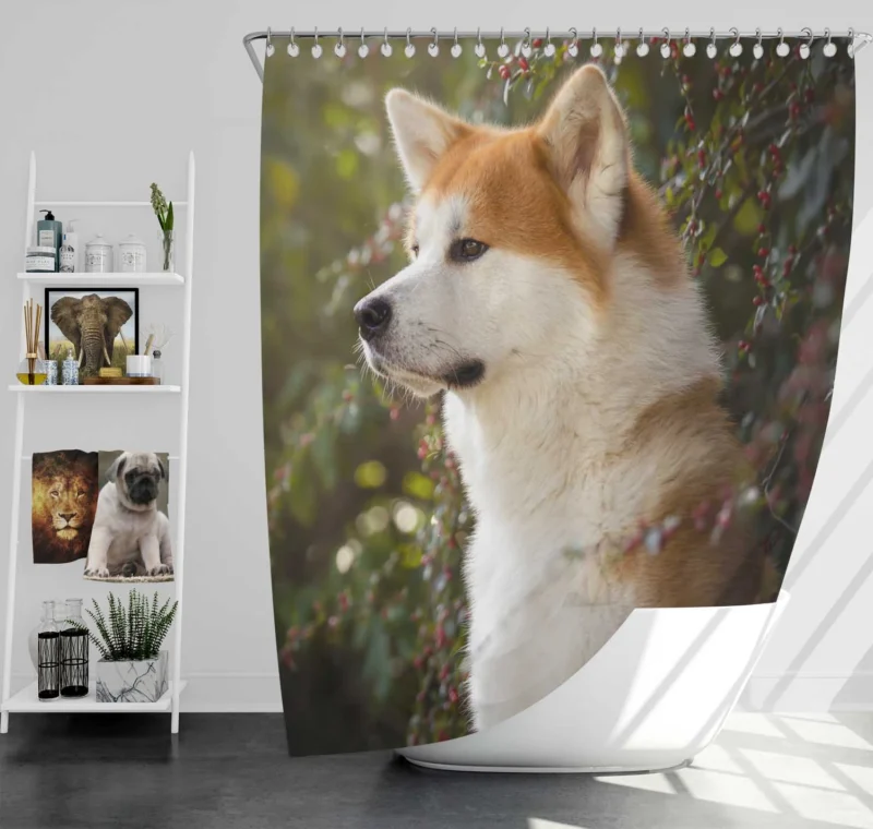 Radiant Shiba Inu Quartet Shower Curtain