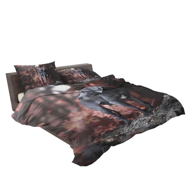 Radiant and Graceful: Weimaraner Quartet Bedding Set 2