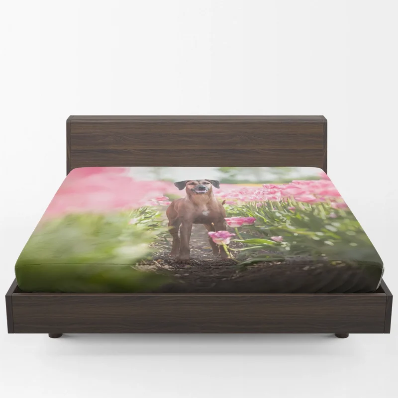 Rainy Day Pug: Pug Quartet Fitted Sheet 1