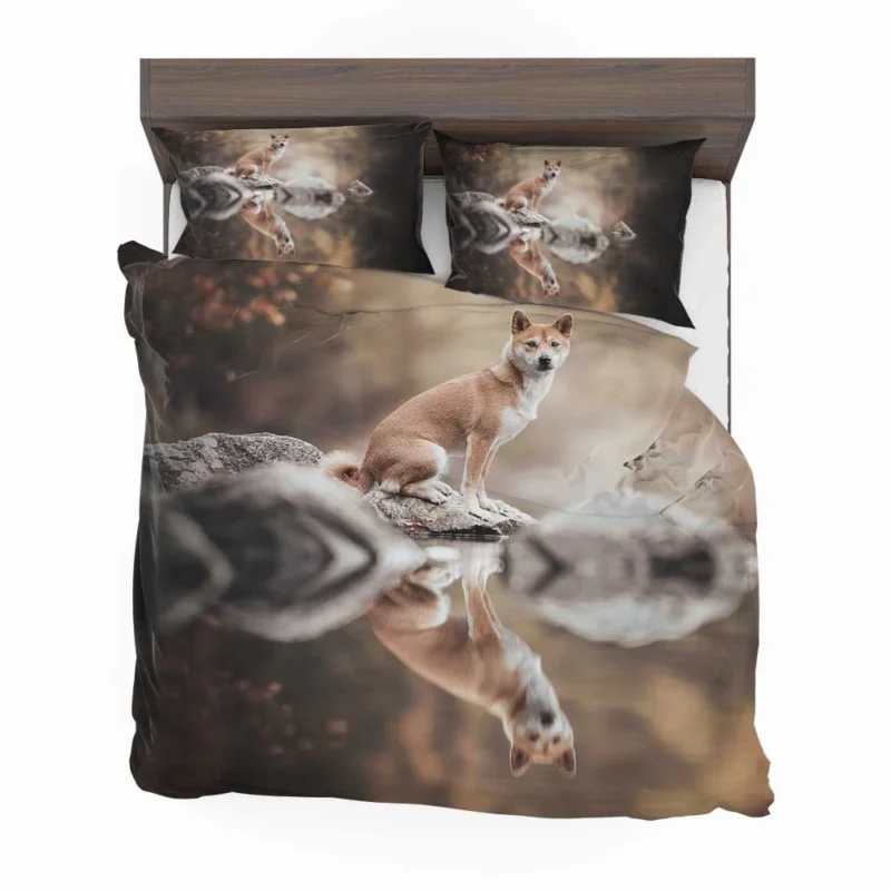 Reflecting Serenely: Shiba Inu Quartet Bedding Set 1