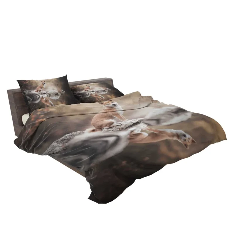 Reflecting Serenely: Shiba Inu Quartet Bedding Set 2