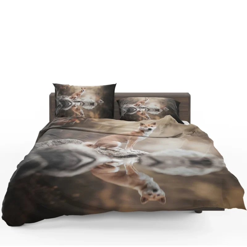 Reflecting Serenely: Shiba Inu Quartet Bedding Set