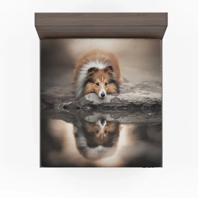 Reflecting in Tranquility: Shetland Sheepdog Quartet Fitted Sheet