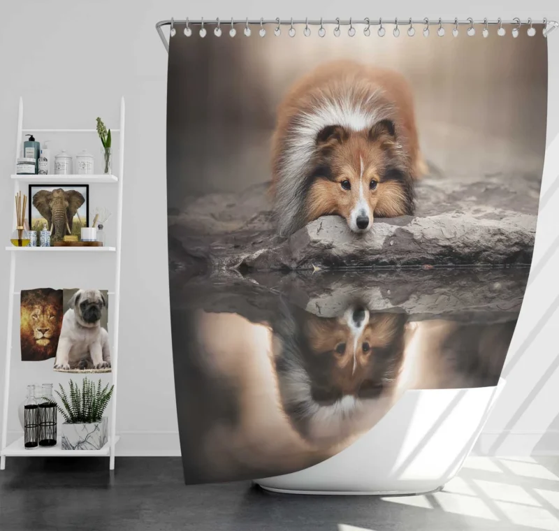 Reflecting in Tranquility: Shetland Sheepdog Quartet Shower Curtain