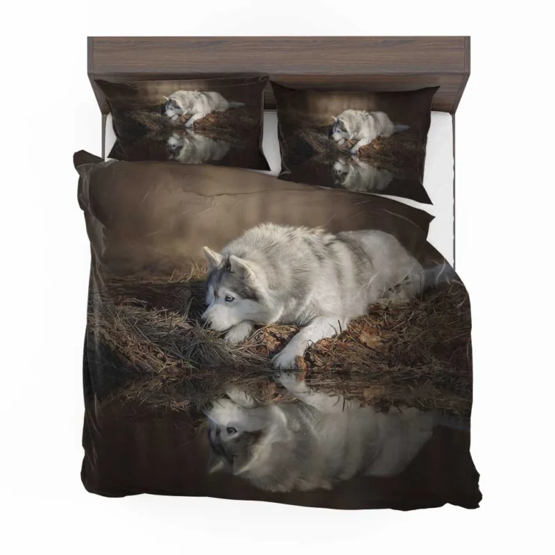 Reflections of Wild Majesty: Wolfdog Quartet Bedding Set 1