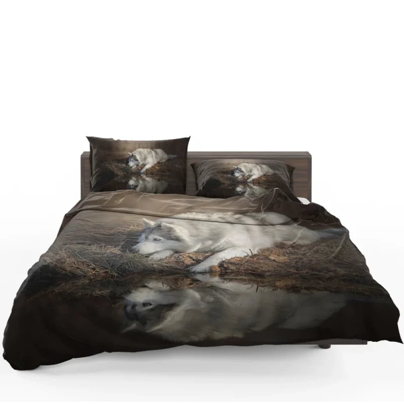 Reflections of Wild Majesty: Wolfdog Quartet Bedding Set