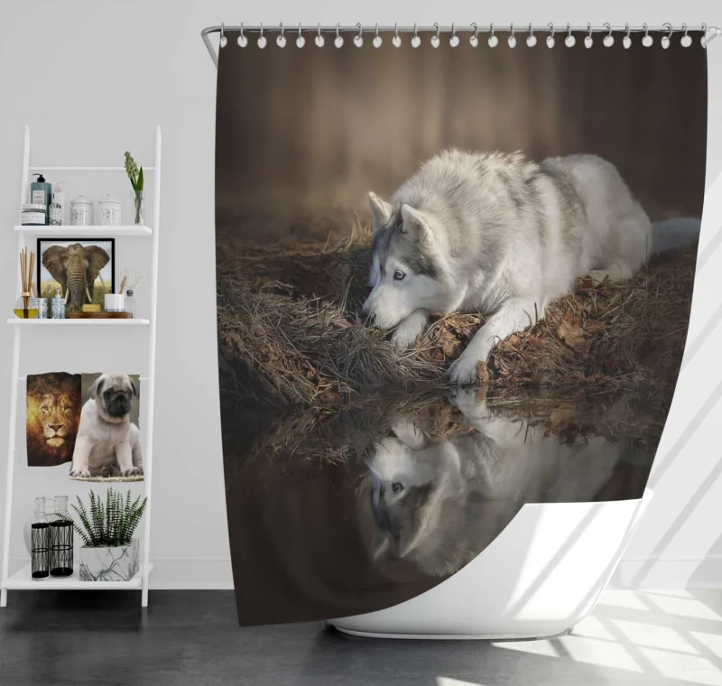 Reflections of Wild Majesty: Wolfdog Quartet Shower Curtain