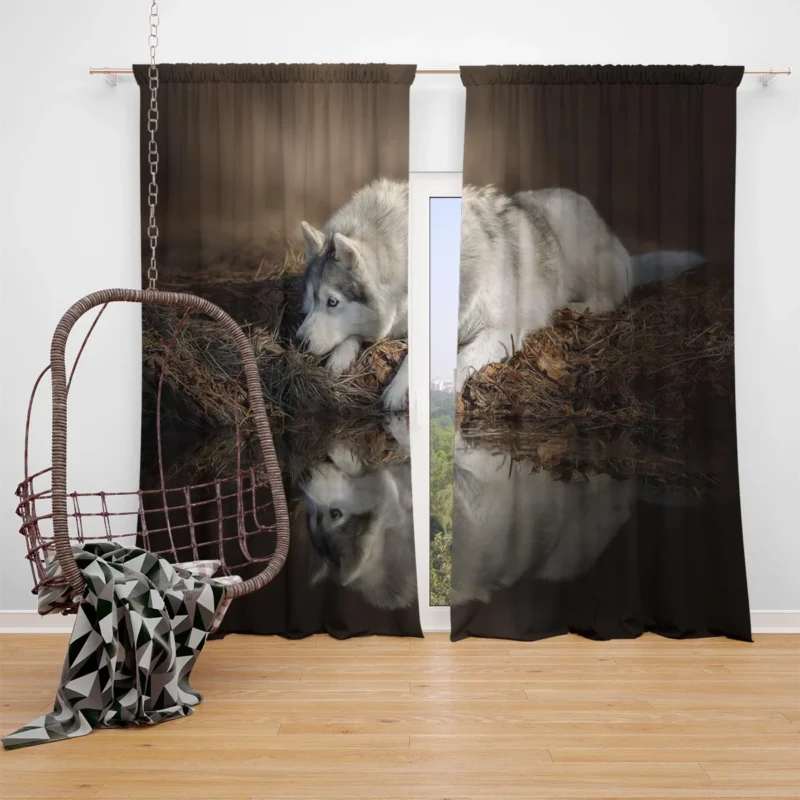 Reflections of Wild Majesty: Wolfdog Quartet Window Curtain