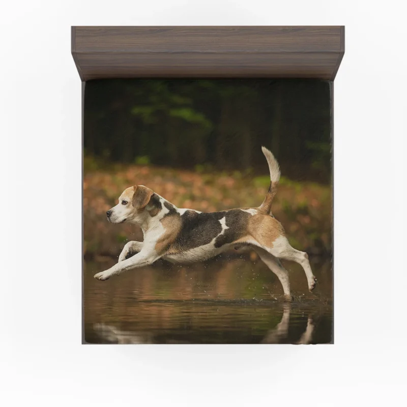 Reflective Canine Beauty in Water with Bokeh: Beagle Fitted Sheet