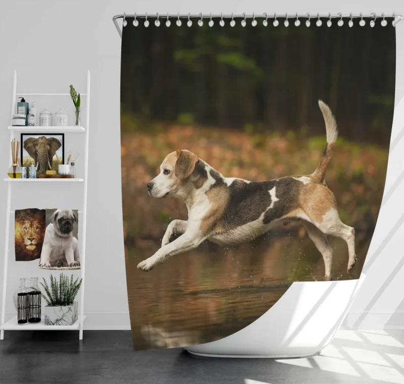 Reflective Canine Beauty in Water with Bokeh: Beagle Shower Curtain