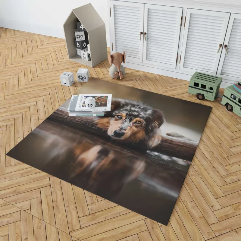 Reflective Canine Gaze: Australian Shepherd Floor Rug 1