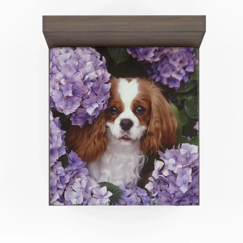 Regal Canine Majesty: King Charles Spaniels Wallpaper Fitted Sheet