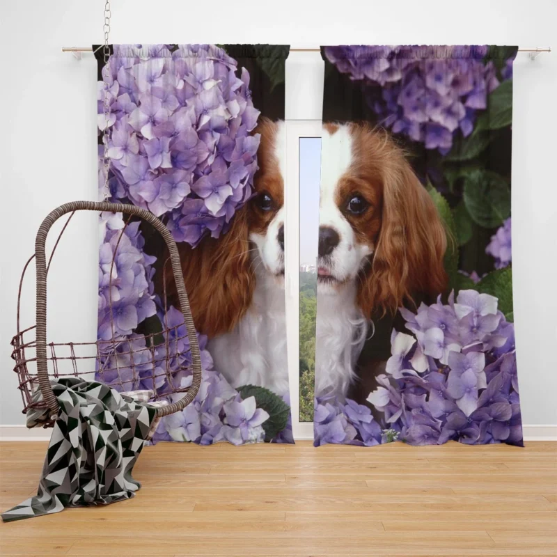 Regal Canine Majesty: King Charles Spaniels Wallpaper Window Curtain