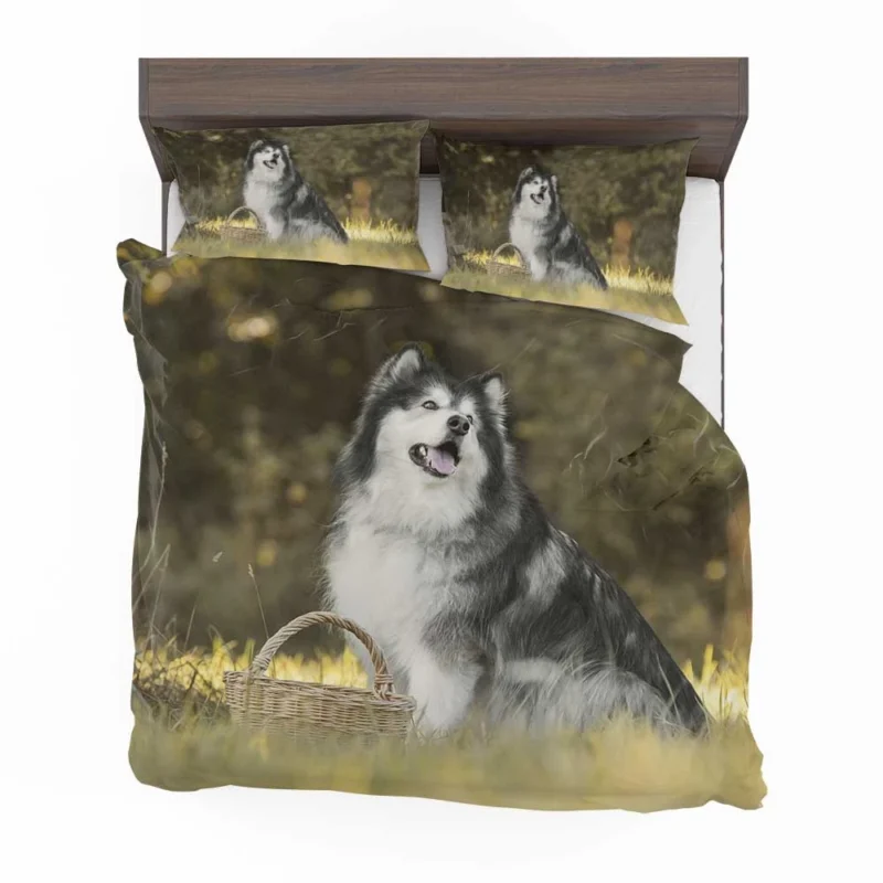 Regal Canine Presence: Alaskan Malamute Quartet Bedding Set 1