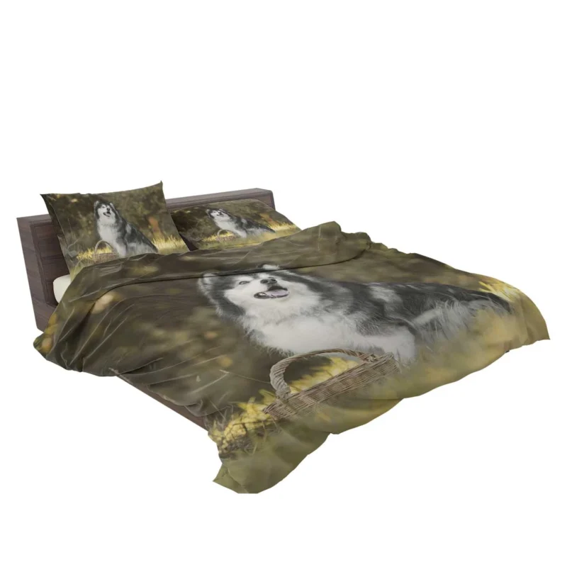 Regal Canine Presence: Alaskan Malamute Quartet Bedding Set 2