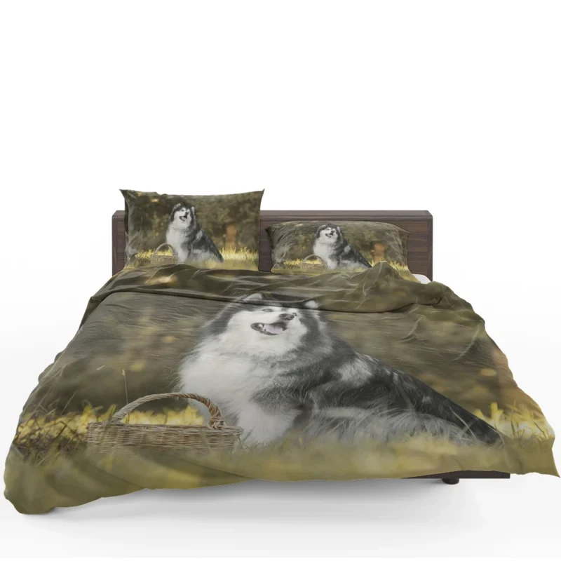 Regal Canine Presence: Alaskan Malamute Quartet Bedding Set