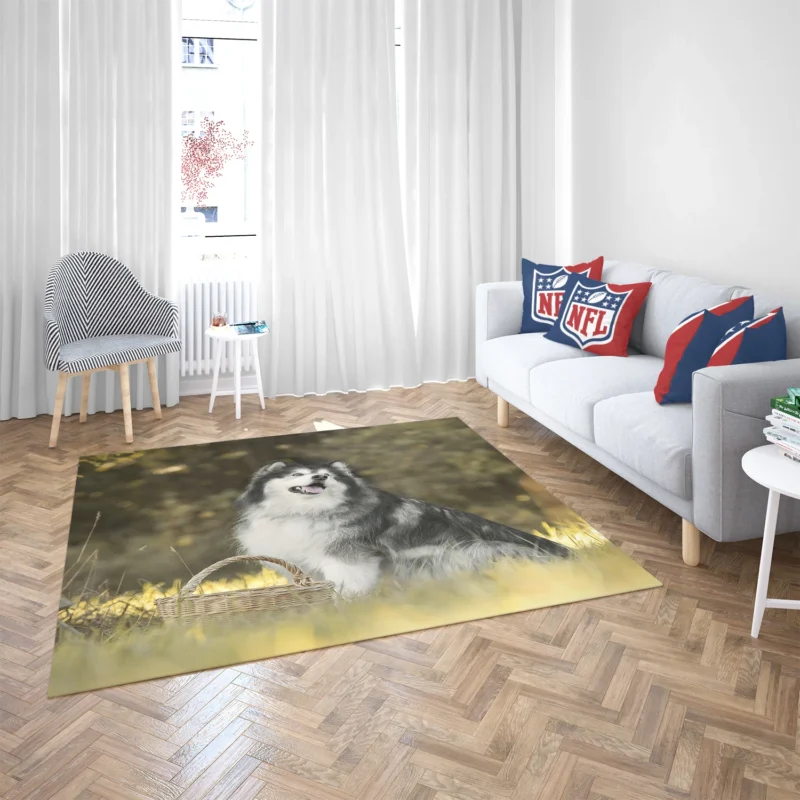 Regal Canine Presence: Alaskan Malamute Quartet Floor Rug 2