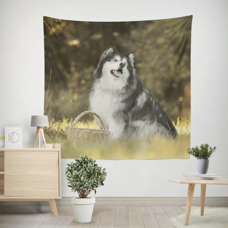 Regal Canine Presence  Alaskan Malamute Quartet Wall Tapestry