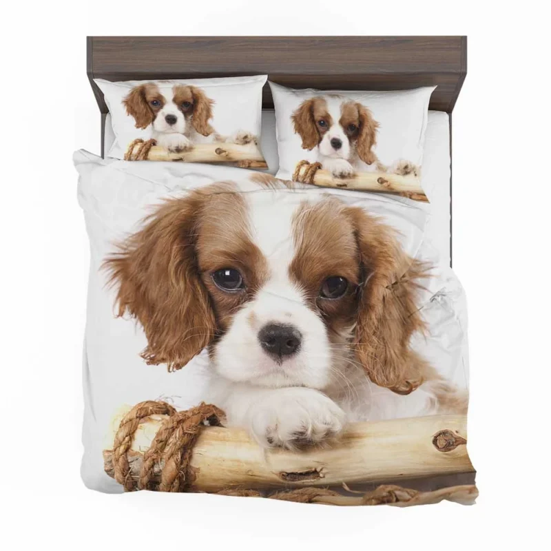 Regal Quartet: King Charles Spaniels in 8k Ultra Bedding Set 1