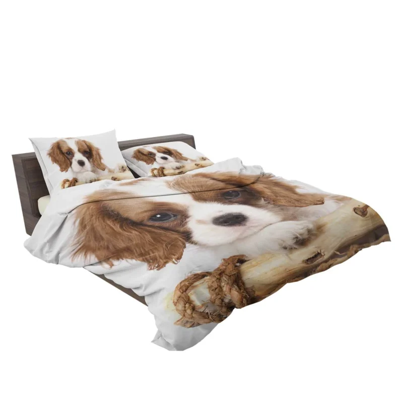 Regal Quartet: King Charles Spaniels in 8k Ultra Bedding Set 2