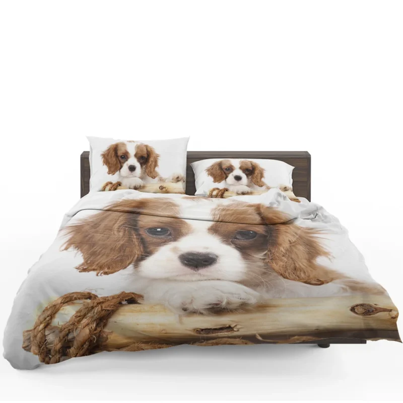 Regal Quartet: King Charles Spaniels in 8k Ultra Bedding Set