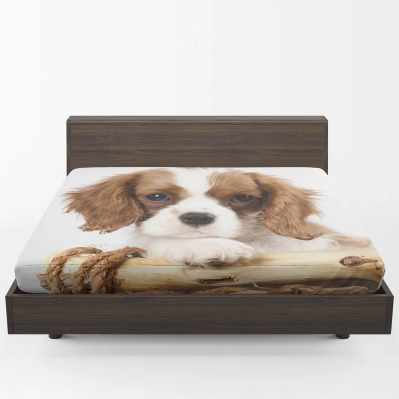 Regal Quartet: King Charles Spaniels in 8k Ultra Fitted Sheet 1