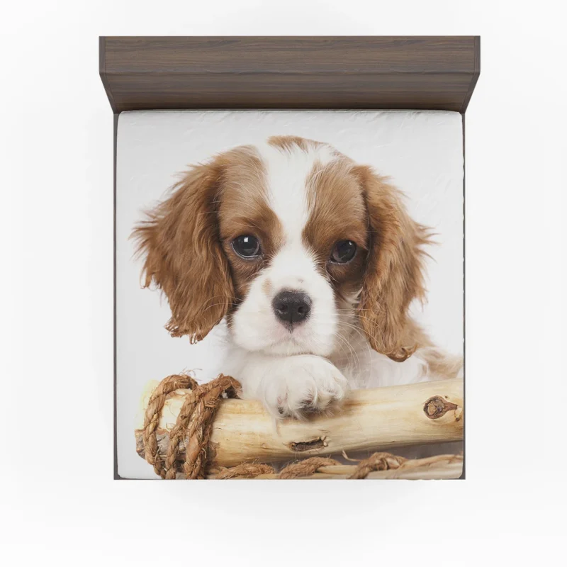 Regal Quartet: King Charles Spaniels in 8k Ultra Fitted Sheet