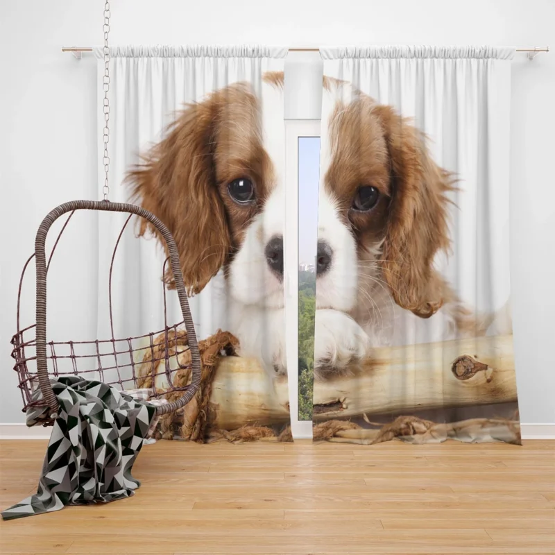 Regal Quartet: King Charles Spaniels in 8k Ultra Window Curtain