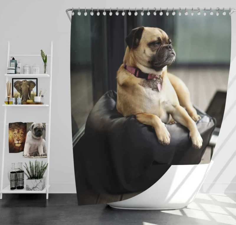 Relaxing Break: Pug Quartet Shower Curtain