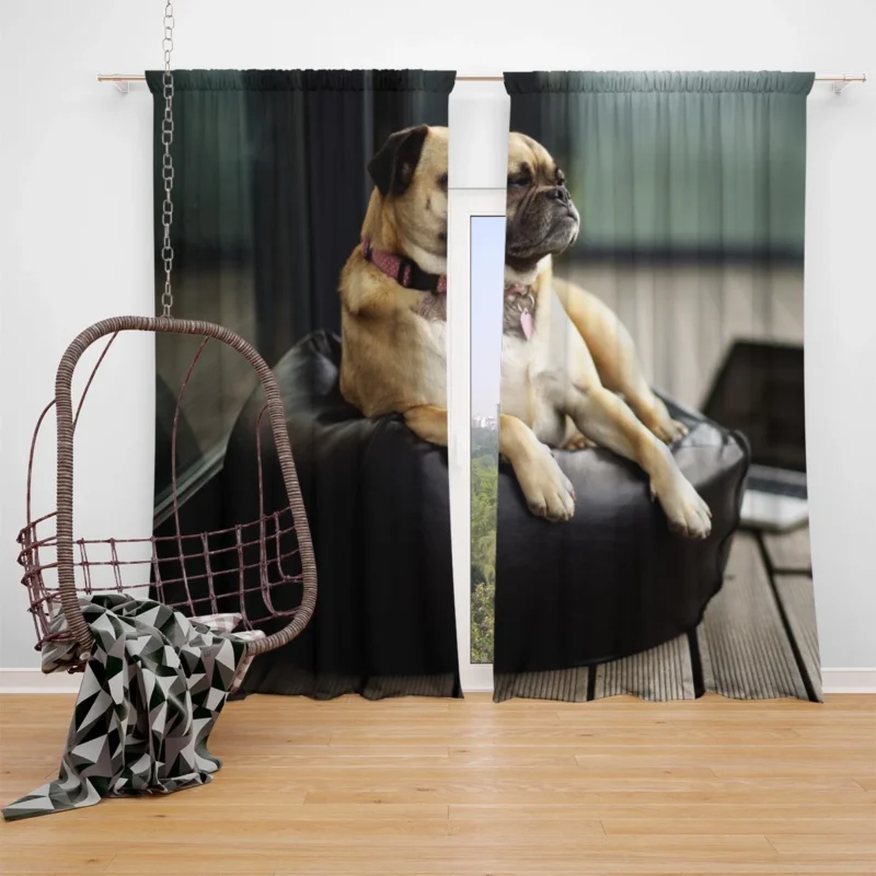 Relaxing Break: Pug Quartet Window Curtain