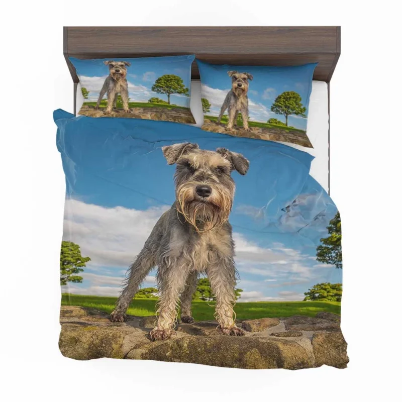 Resting Together: Schnauzer Quartet Bedding Set 1