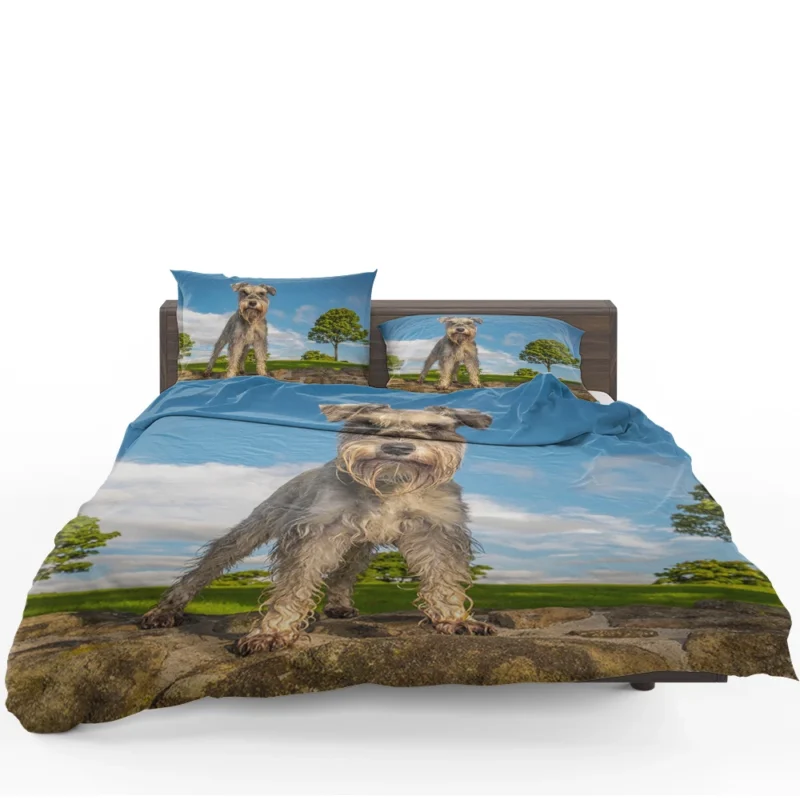 Resting Together: Schnauzer Quartet Bedding Set