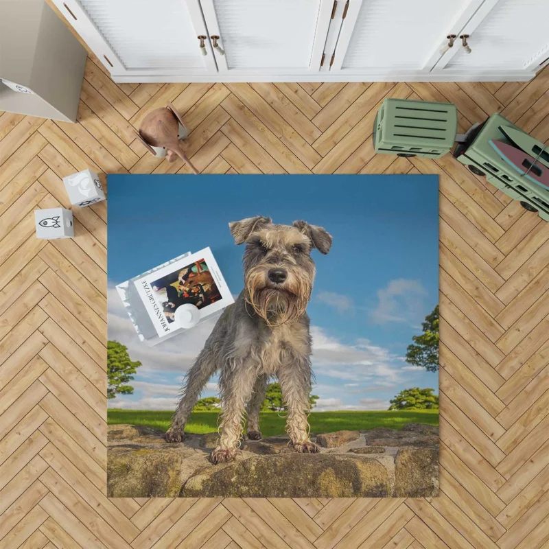 Resting Together: Schnauzer Quartet Floor Rug