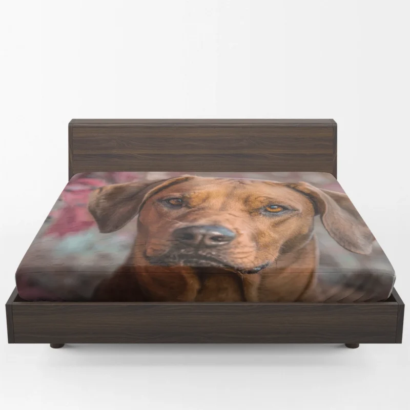 Rhodesian Ridgeback Among Tulips: Quartet Beauty Fitted Sheet 1