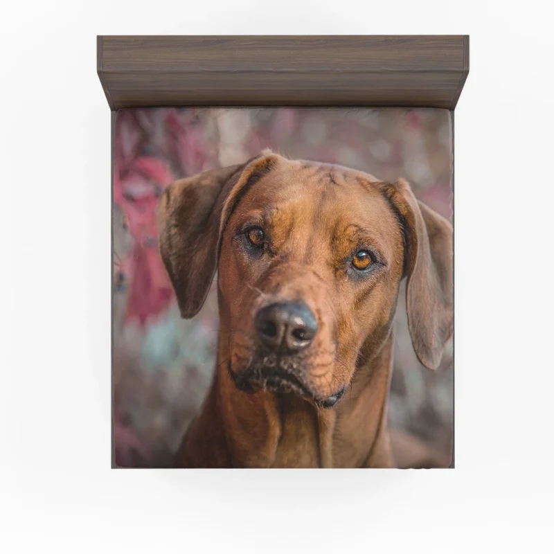 Rhodesian Ridgeback Among Tulips: Quartet Beauty Fitted Sheet