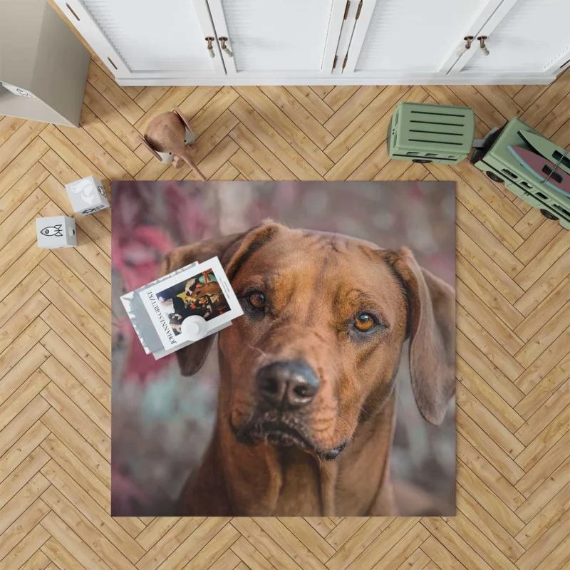 Rhodesian Ridgeback Among Tulips: Quartet Beauty Floor Rug