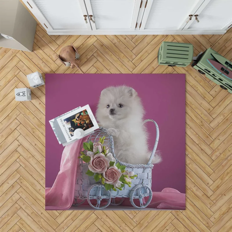 Rosy Moments: White Pomeranian Puppy Quartet Floor Rug