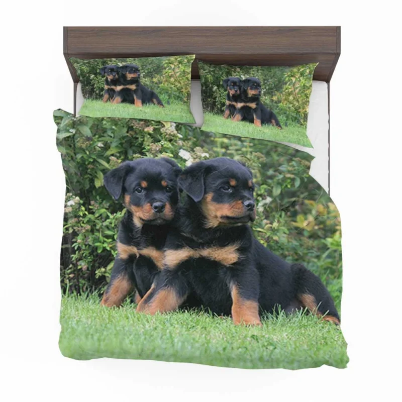 Rottweiler Beauty: Canine Quartet Bedding Set 1