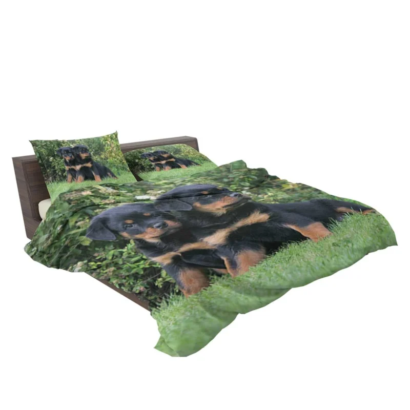 Rottweiler Beauty: Canine Quartet Bedding Set 2