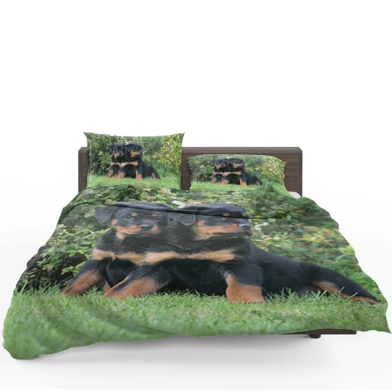 Rottweiler Beauty: Canine Quartet Bedding Set