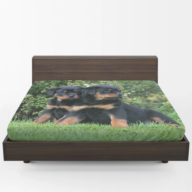 Rottweiler Beauty: Canine Quartet Fitted Sheet 1