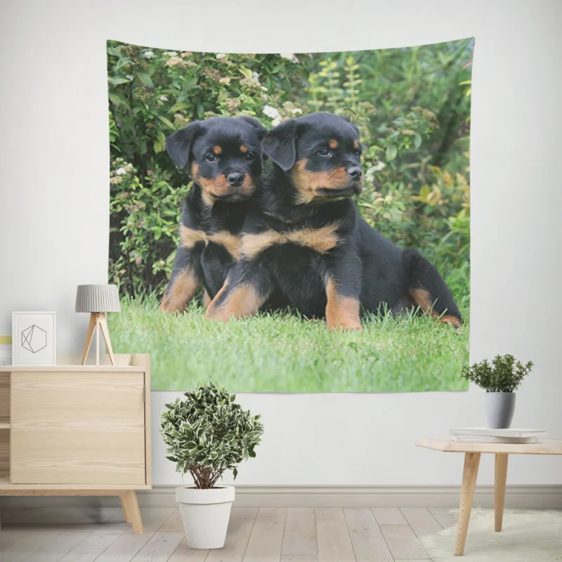 Rottweiler Beauty  Canine Quartet Wall Tapestry