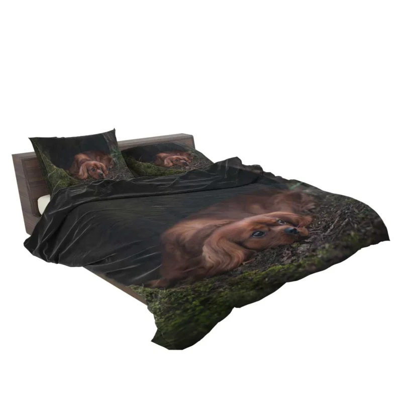 Royal Beauty Quartet: King Charles Spaniels Bedding Set 2